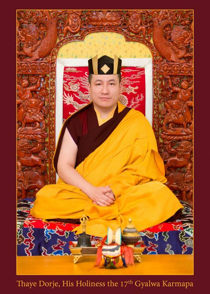 Kết quả hình ảnh cho Thaye Dorje Rinpoche - Karmapa 17