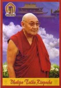 Dhakpa Tulku Rinpoche_Small