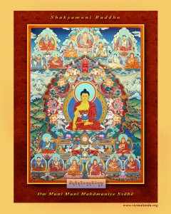 Trulshik Rinpoche (51)