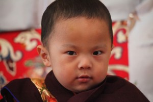 Yangsi-Rinpoche-The-Reincarnation-of-HH-Pema-Norbu-Rinpoche