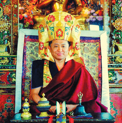 Tiểu sử của Đức Tulku Chökyi Nyima Rinpoche
