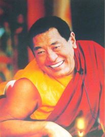 574538_527195627352507_1731784033_n