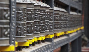 Nghĩ đến lòng tốt mà tất cả mẹ chúng sinh đã có với chúng ta