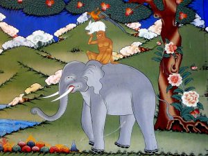 Tứ chúng hòa hợp 1