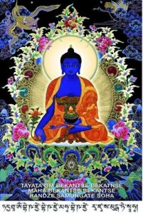 535204_1134678556572675_1971441060649426868_n