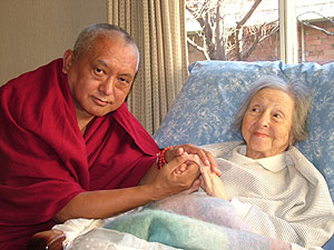 Thực Nghĩa Yêu Thương