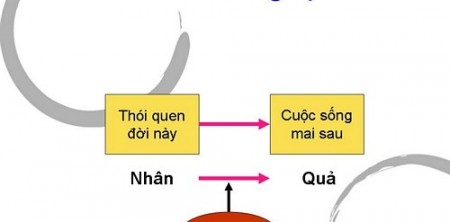 Năm mươi hai trường hợp nhân quả