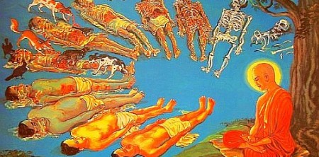 LẼ VÔ THƯỜNG CỦA CUỘC ĐỜI