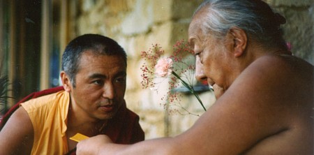 Tiểu sử ngắn Đức Taklung Tsetrul Pema Wangyal Rinpoche