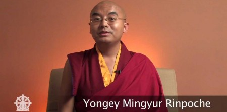 Lịch Hoằng Pháp của Đức Yongyey Mingyur Rinpoche